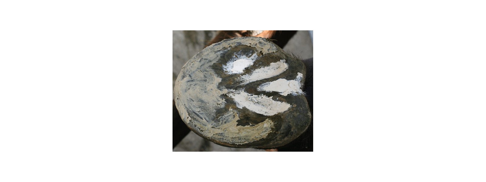 Guide: Sdan behandler du sur strle effektivt  Trin-for-trin