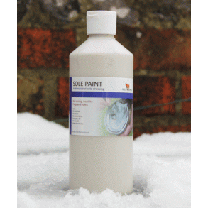 Red Horse Sole Paint