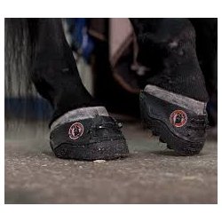 Equine Fusion 24/7 Jogging Shoe