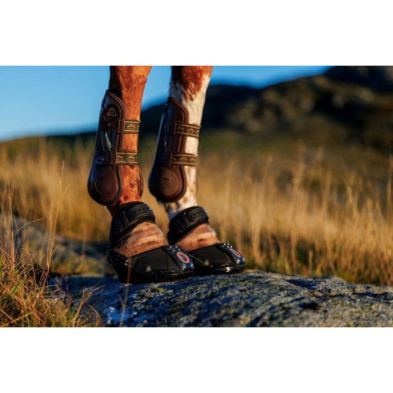 Equine Fusion Trailblazer