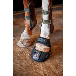 Equine Fusion Trailblazer