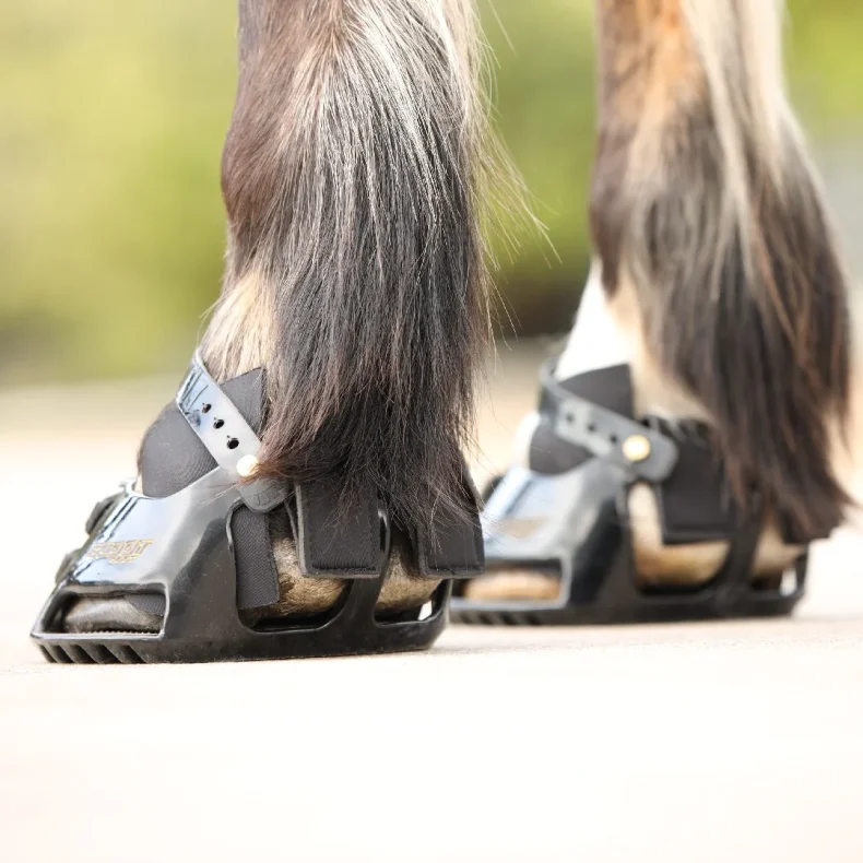 Scoot boot Hybrid Gaiter