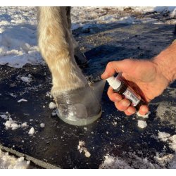 Easyshoe Insta-set Sekundlim Accelerator