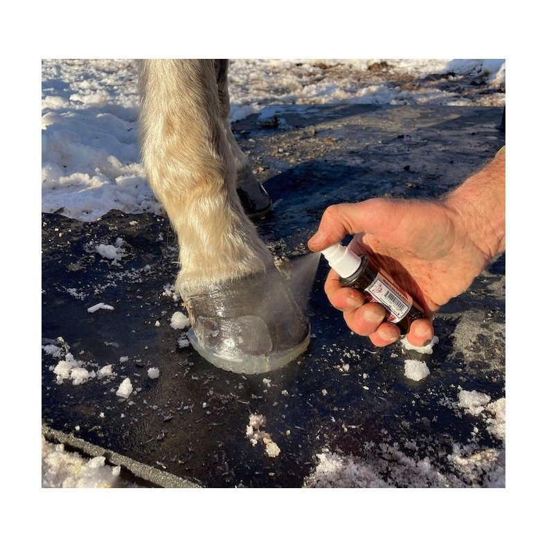 Easyshoe Insta-set Sekundlim Accelerator