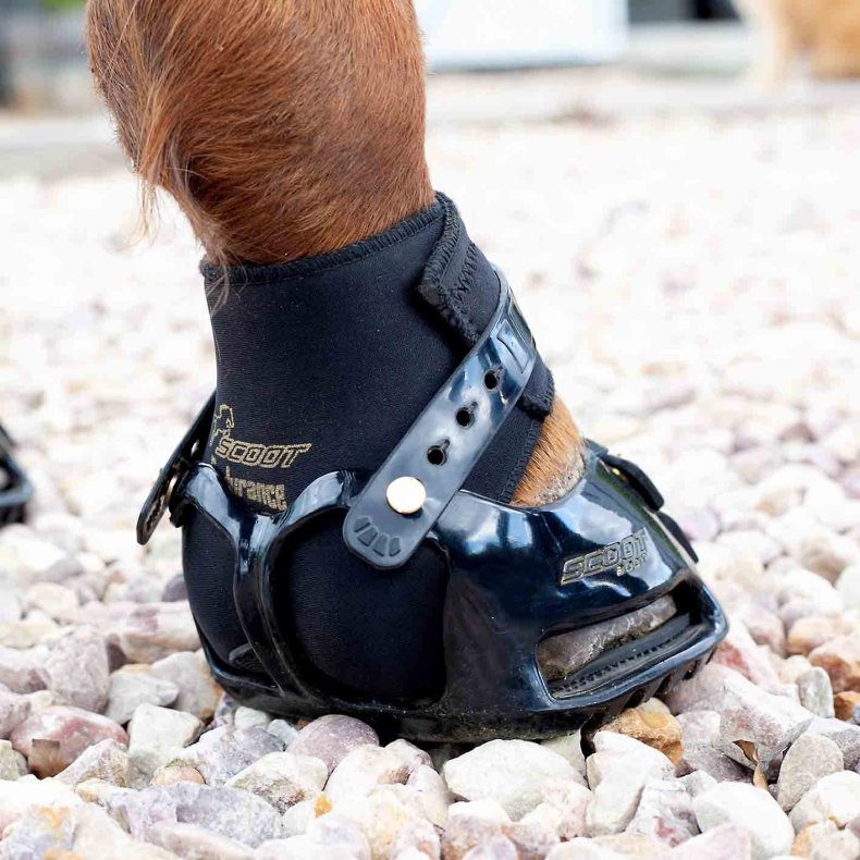 Scoot Boot Endurance Gaiter