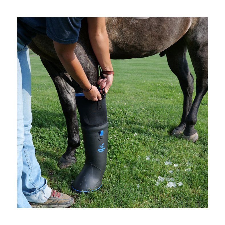 Easyboot Ultimate Remedy 