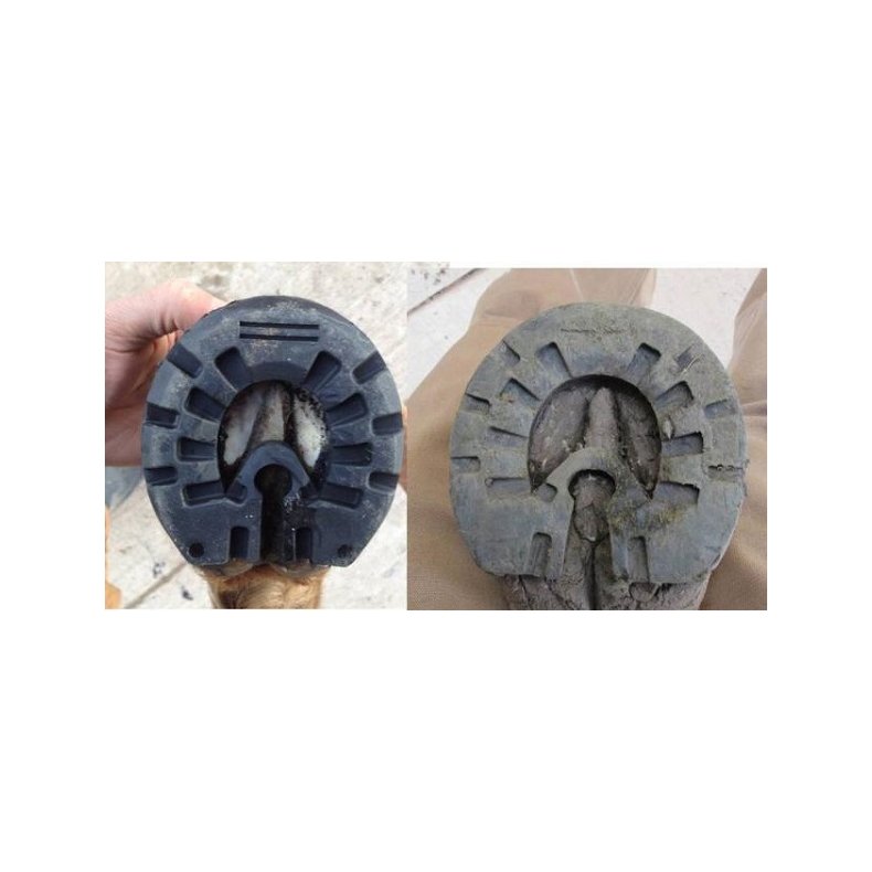 Easyshoe Performance