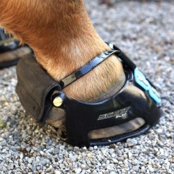 Scoot Boot Trail Gaiter