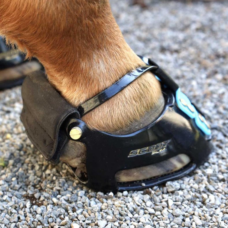 Scoot Boot Trail Gaiter