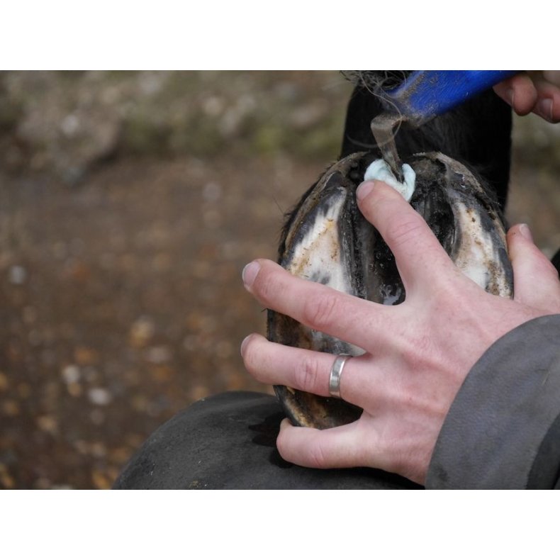 Silver Hoof Balls 100 stk