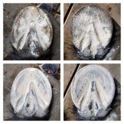 Magic Hoof Powder 120gr