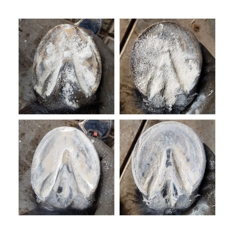 Magic Hoof Powder 120gr